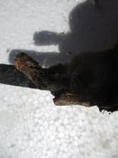IMG_8118.JPG