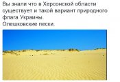 image (1).jpg