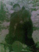 mTQv6rCDki8.jpg