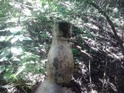 2016-07-05 13.53.26.jpg