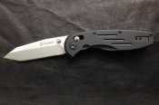 Ganzo701_1.JPG