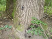 DSCN2180.JPG