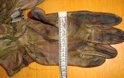 DSC04830.JPG