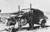 VW-IMG164s.jpg