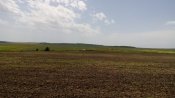 IMG_20160620_134738.jpg