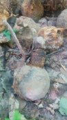 IMG_20160630_120445.jpg