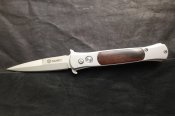 Ganzo_G707_1.JPG