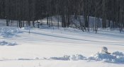 IMG_2583.JPG