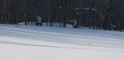 IMG_2584.JPG