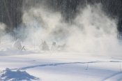 IMG_2636.JPG