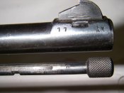 IMGP5573.JPG