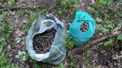 20160704_153458.jpg