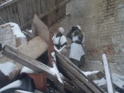 201103010003.jpg