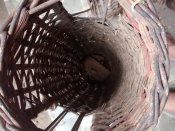 IMG_20160710_162258798.jpg