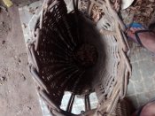 IMG_20160710_162428992.jpg