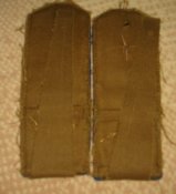 DSC05896.JPG