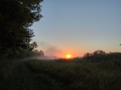 IMG_2016-07-10_045433_HDR[1].jpg