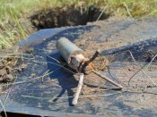 IMG_2016-07-10_092747_HDR[1].jpg