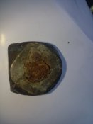 20160711_123115.jpg