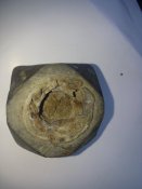 20160711_123110.jpg