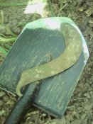 IMG_20160711_162037.jpg