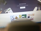 IMG_20160712_080221455.jpg