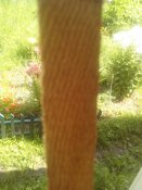 IMG_20160711_115556.jpg