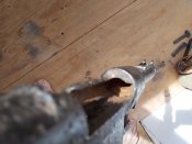 DSCN5108.JPG