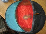IMG_4079.JPG