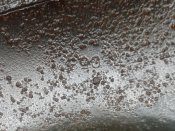 20160713_102429.jpg