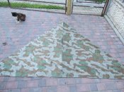 IMG_9722.JPG