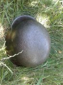 20160713_103141.jpg