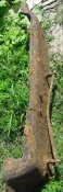 20160713_124609.jpg
