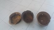 20160714_194741.jpg