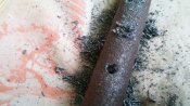 20160715_153122.jpg