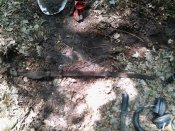 20160716_142136.jpg