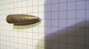 WP_20160711_10_51_55_Pro.jpg