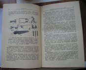 P1010104.JPG