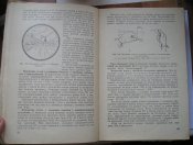 P1010117.JPG