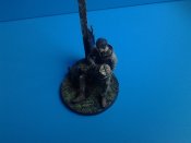 20160717_100829.jpg