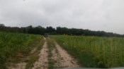 IMG_20160717_081726.jpg