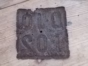 DSCN5160.JPG