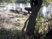 20160717_080245.jpg