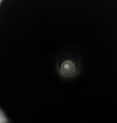 IMG_5943.jpg