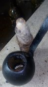 IMG_20160718_173115.jpg