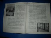 DSCN8282.JPG