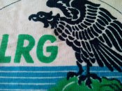 Оригинальная нашивка DLRG Германия Рейх