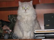 IMG_1389.JPG