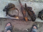 IMG_20160521_210336.jpg