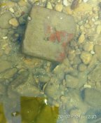 IMG_20160720_120308.jpg